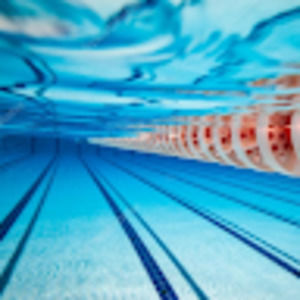 Meet your Posher, Riley